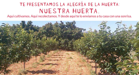 La Cesta de la Fruta